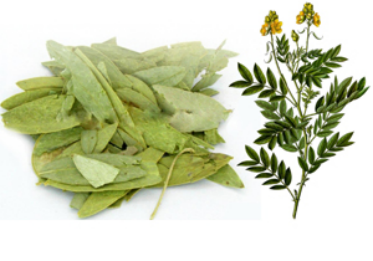 �W�ϊW��ˎ�����N��Ч���᣿